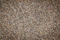 Sand stone pebbles texture background for design. Royalty Free Stock Photo