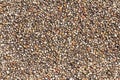 Sand stone pebbles texture or sand stone pebbles background for interior design business. exterior decoration design. Royalty Free Stock Photo