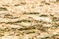 Sand stone relief. Natural texture background.