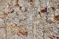 Sand stone rocky surface texture for background use Royalty Free Stock Photo