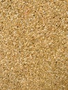 Sand stone texture