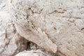 Sand and stones covered with crystalline salt crust on shore of Dead Sea, closeup detail Royalty Free Stock Photo