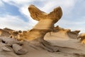 Sand stones in the desert Royalty Free Stock Photo