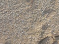 Sand stones and sea shell background