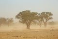 Sand storm - Kalahari desert Royalty Free Stock Photo