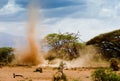 Sand storm in kenia Royalty Free Stock Photo