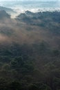 Sand storm in Landes forest