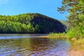 Sand stretch. The river far into the woods. Blooming Apple tree. The River UDA. Eastern Siberia.