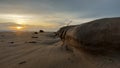 Sand and sunset with frog view