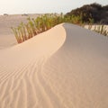 Sand surface Royalty Free Stock Photo