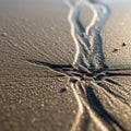 Sand surface with intricate patterns created by receding water Royalty Free Stock Photo