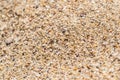 Sand Texture