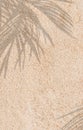 Sand Texture Background with Coconut Palm leaves Shadow, Nature Beach Sandy with tropical leaf overlay,Top view Desert sand done,
