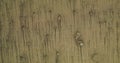 sand texture background grain noise martini olive