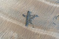 Sand Texture Background, Sandy Beach Pattern, Beige Ocean Dune Wallpaper, Wet Beach Royalty Free Stock Photo