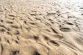 Sand Texture Background, Sandy Beach Pattern, Beige Ocean Dune Wallpaper, Wet Beach Royalty Free Stock Photo