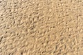 Sand Texture Background, Sandy Beach Pattern, Beige Ocean Dune Wallpaper, Wet Beach Royalty Free Stock Photo