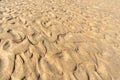 Sand Texture Background, Sandy Beach Pattern, Beige Ocean Dune Wallpaper, Wet Beach Royalty Free Stock Photo