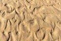 Sand Texture Background, Sandy Beach Pattern, Beige Ocean Dune Wallpaper, Wet Beach Royalty Free Stock Photo