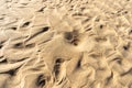 Sand Texture Background, Sandy Beach Pattern, Beige Ocean Dune Wallpaper, Wet Beach Royalty Free Stock Photo