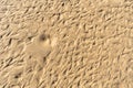 Sand Texture Background, Sandy Beach Pattern, Beige Ocean Dune Wallpaper, Wet Beach Royalty Free Stock Photo