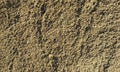 Sand.Sand texture.Sand background.Sandy soil.Sand texture. Sandy, marine. Royalty Free Stock Photo