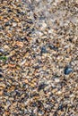 Sand Texture Background. Top View of a Beach or Desert Ground Surface. Close Up Macro Royalty Free Stock Photo