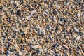Sand Texture Background. Top View of a Beach or Desert Ground Surface. Close Up Macro Royalty Free Stock Photo