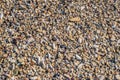 Sand Texture Background. Top View of a Beach or Desert Ground Surface. Close Up Macro Royalty Free Stock Photo