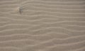 Sand texture, sand background with waves