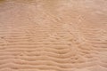 Sand texture on beach splash with water Royalty Free Stock Photo