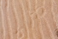 Sand texture on beach splash with water Royalty Free Stock Photo