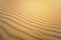 Sand Texture. Brown sand. Background from fine sand. Sand background. yellow dune in the sun. The sun shines on the sand Royalty Free Stock Photo