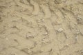 Sand.hiekka.arena.zand.sabbia Royalty Free Stock Photo