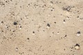 Sand texture closeup photo. Smooth beach sand background for travel banner template. Royalty Free Stock Photo