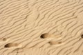 Sand texture.Dented wave of the blow Royalty Free Stock Photo