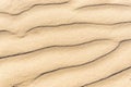 Sand texture.Dented wave of the blow of the wind Royalty Free Stock Photo