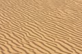 Sand texture.Dented wave of the blow of the wind. Royalty Free Stock Photo