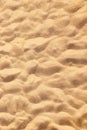 Sand texture - desert background