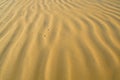 Sand texture Royalty Free Stock Photo