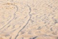 Sand texture. Sandy beach for background. Top view. Royalty Free Stock Photo