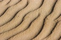 Sand texture in the Nagliai dunes reserve Royalty Free Stock Photo