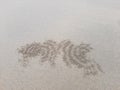 Sand texture pattern made by crab. Natural sand ball pattern by crab Royalty Free Stock Photo