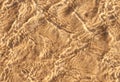 Sand texture pattern with transparent clear sea water waves reflection,Abstract Sun lights on water surface over brown sand Royalty Free Stock Photo