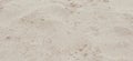 Sand texture. Sandy beach for background. Top view