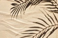 Sand texture. Sandy beach with palm shadow for product background. Top view