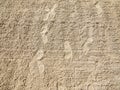 Sand texture. Sea sand bottom with footprints Royalty Free Stock Photo