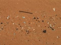 Sand texture with small stones, seashells, sticks and dry reeds