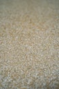 Sand texture stone background Royalty Free Stock Photo