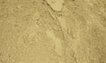 Sand.Sand texture.Sand background.Sandy soil.Sand texture. Sandy, marine. Royalty Free Stock Photo